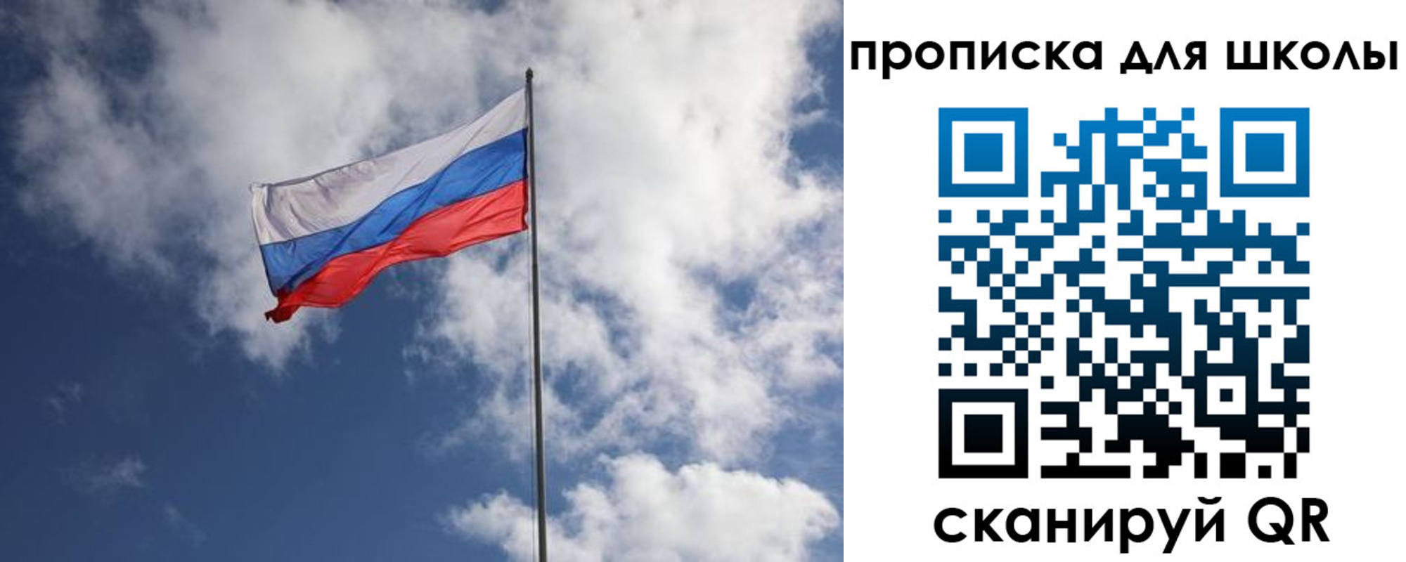 прописка поиск в Светлом